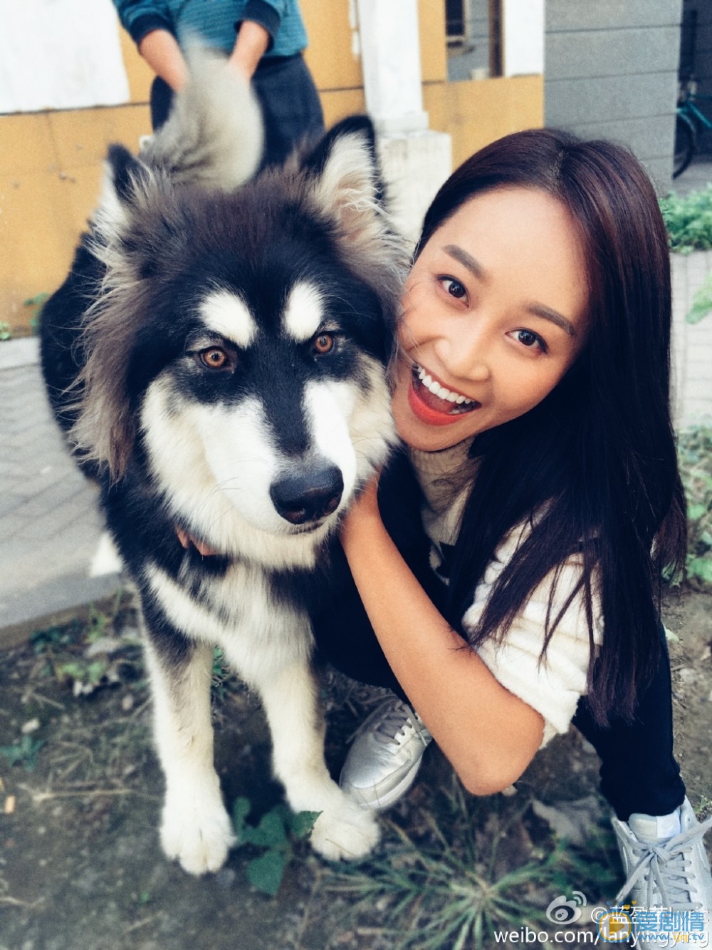 外科風雲楊羽扮演者藍盈瑩海量寫真生活照