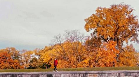 鬼怪是在哪裡拍攝的？鬼怪外國取景地介紹及劇照欣賞