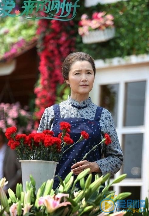 愛來的剛好人物性格大解析盤點