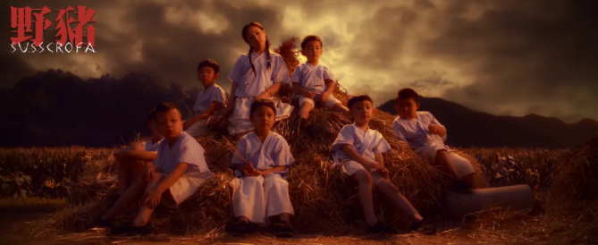 野豬電影劇情介紹