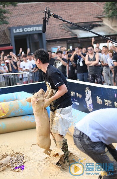 王思聰新節目《Hello 女神》北京站啟動開播 美女放下身段"泥潭抓豬" 校長王思聰親自上陣