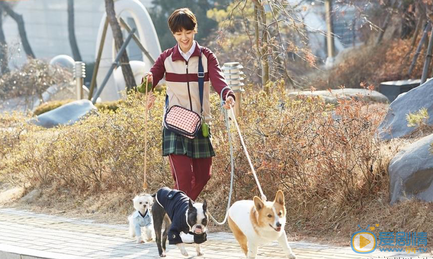 灰姑娘與四騎士尹夏媛的親生父親是誰?