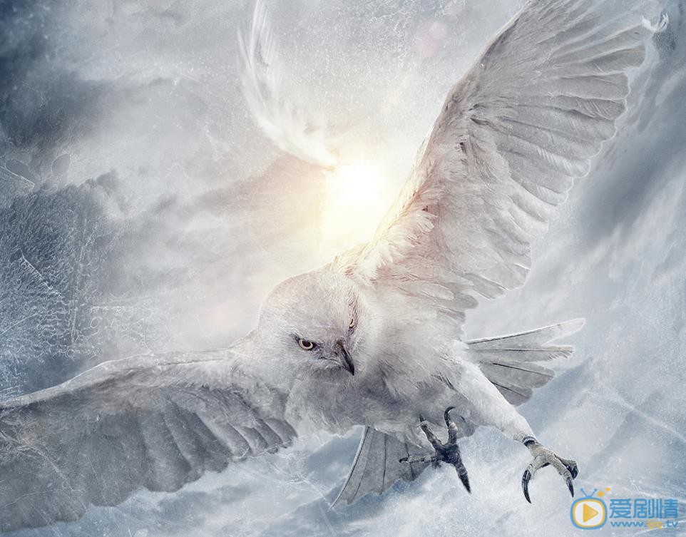 天坑鷹獵張保慶養的白鷹是什麼品種？張保慶養的白鷹原型是什麼鳥？