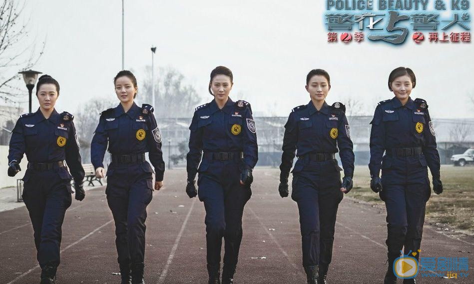 警花與警犬之再上征程劇情介紹