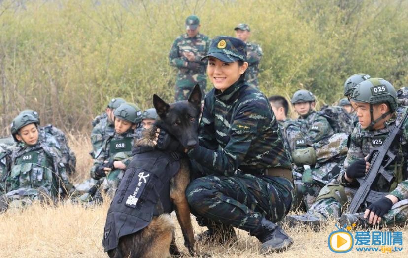 我是特種兵之霹靂火劇照