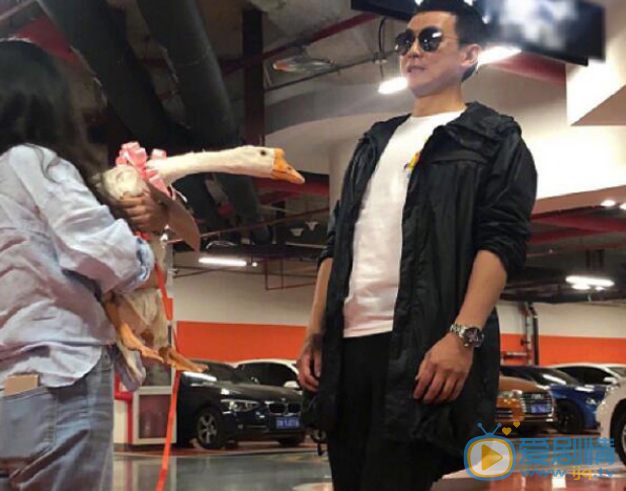 如果可以這樣愛冬粉心疼保劍鋒得不到白考兒 心急為他送上一隻大白鵝 