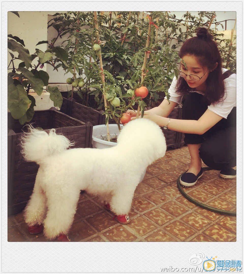 思美人昭碧霞扮演者梁田寫真生活照欣賞