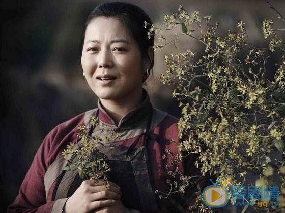 王茜華個人資料簡介 王茜華劇照