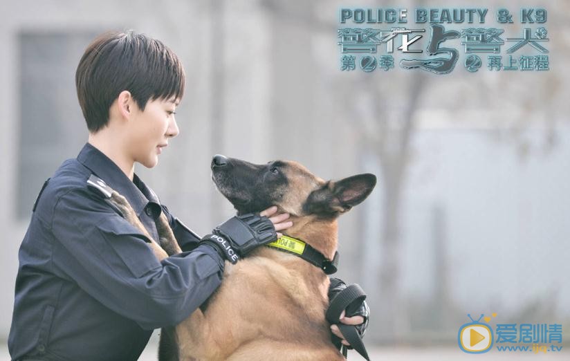 陳美霖個人資料簡介 陳美霖《警花與警犬之再上征程》劇照