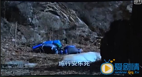 神犬小七大結局是什麼？小七結局如何？小七最後死了嗎？