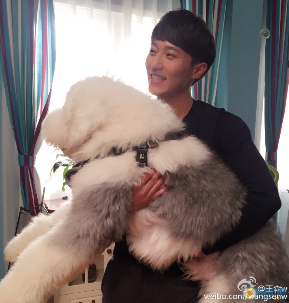 外科風雲揚子軒扮演者王森寫真生活照欣賞