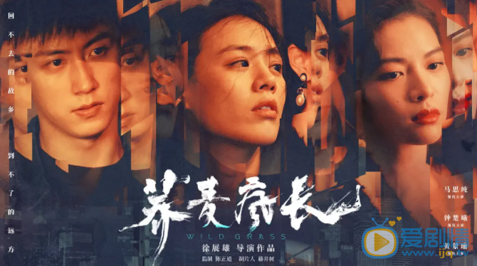 蕎麥瘋長電影劇情介紹 蕎麥瘋長電影海報