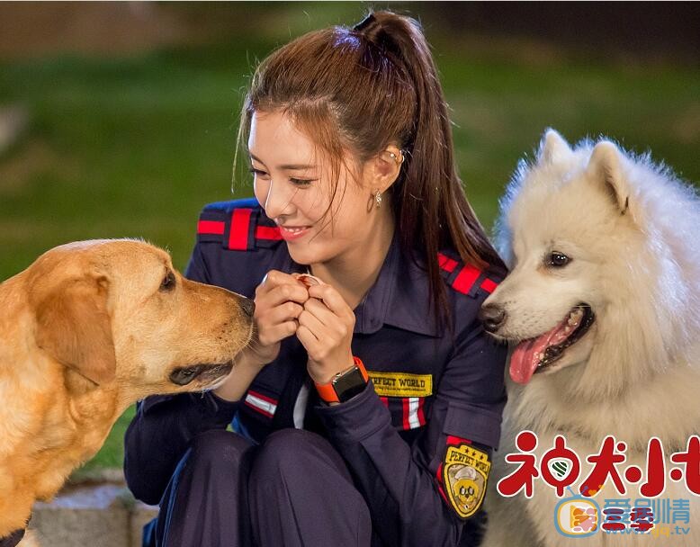 宋妍霏《神犬小七第三季》劇照 宋妍霏個人資料簡介