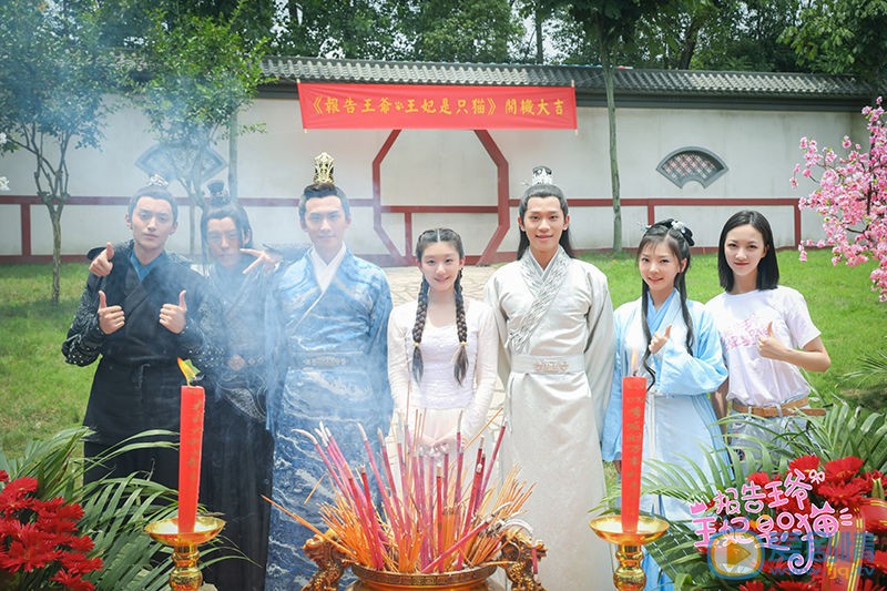 報告王爺王妃是只貓劇情介紹