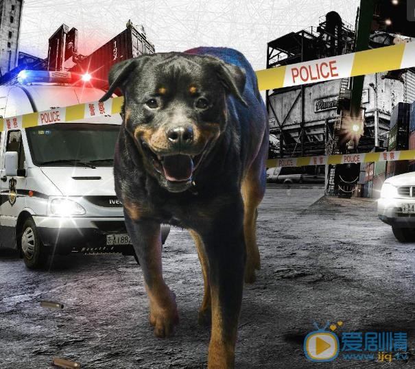 警花與警犬劇照