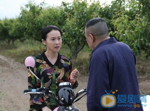 歡喜盈門劇情介紹