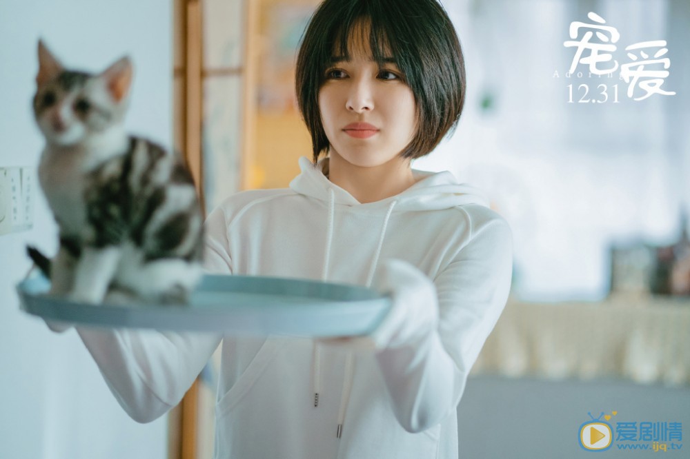 《寵愛》電影劇情介紹