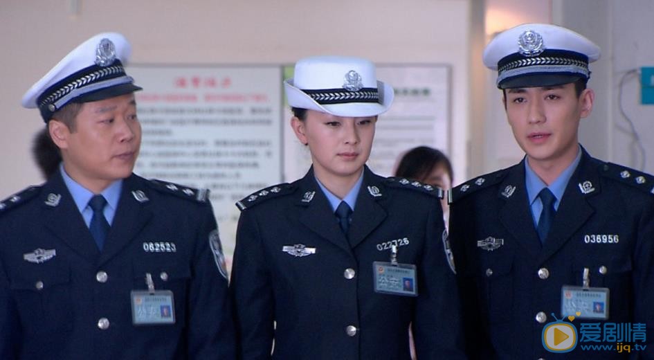 電視劇天網行動劇情介紹