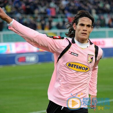 埃丁森&middot;卡瓦尼  俱樂部生涯  巴勒莫時期照