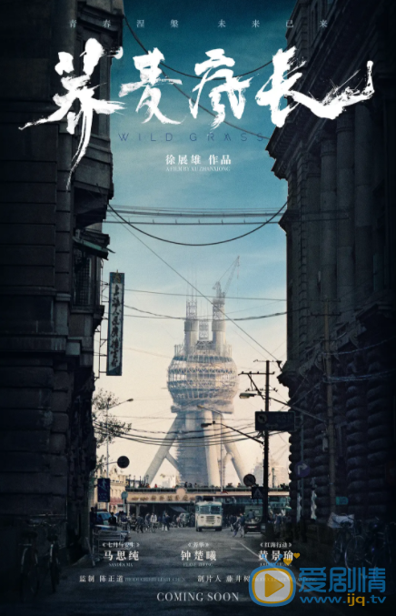 蕎麥瘋長什麼時間播_蕎麥瘋長播出時間