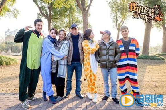  我的老婆大人是八零後劇情介紹