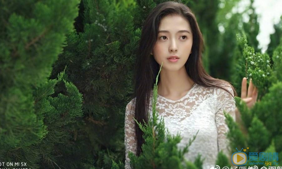 楊雁翎個人資料楊雁翎個人寫真