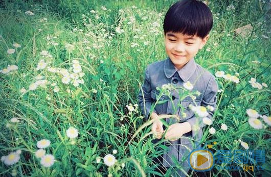 紅薔薇誰把和平救出來了？顧霜菊救了和平嗎？