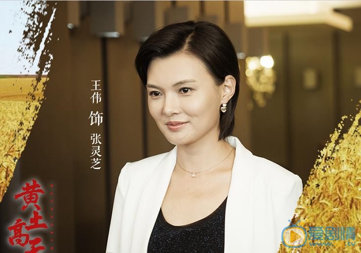 黃土高天張芝靈喜歡秦學安嗎？張芝靈秦學安最後在一起了嗎？