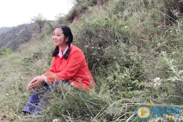 歲歲年年柿柿紅劇情介紹