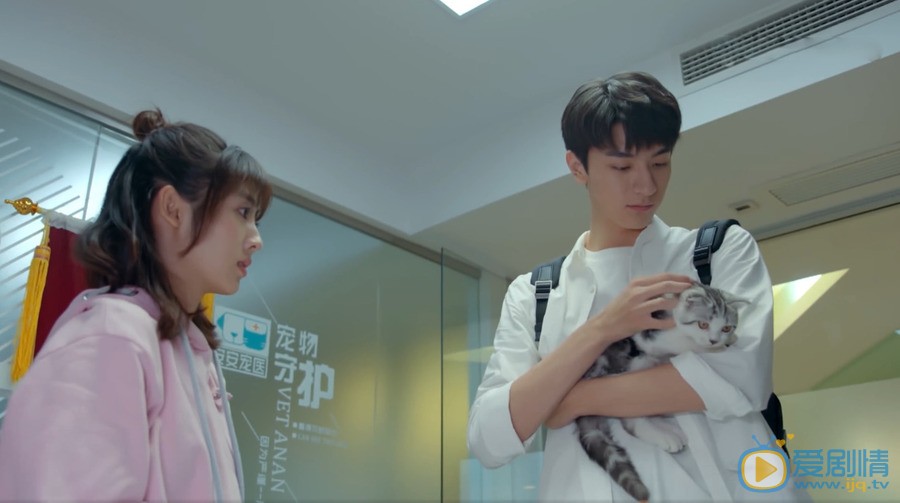 致我們暖暖的小時光顧未易日常打臉 為了司徒末強行帶貓回家