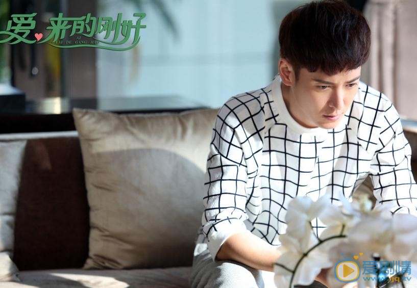   愛來的剛好劇情介紹