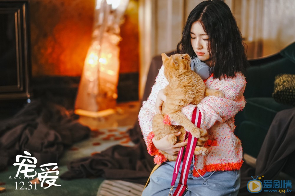 《寵愛》電影劇情介紹
