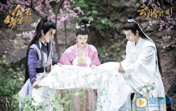 《公子,我娶定你了》劇情介紹