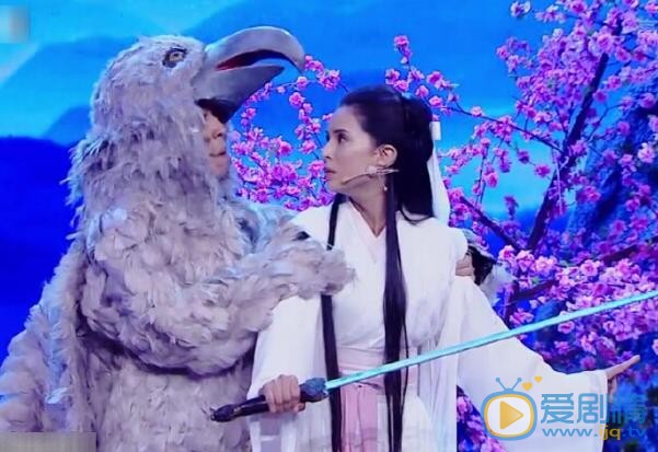 李若彤搭檔李菁參加《跨界喜劇王》 李若彤李菁再現《神鵰俠侶》  李若彤個人資料介紹