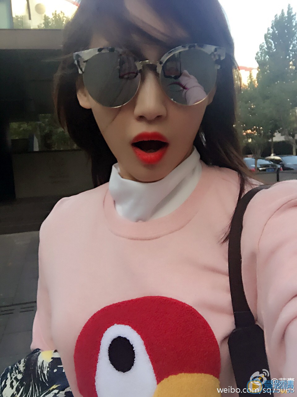 特勤精英葉一帆扮演者蘇青照片