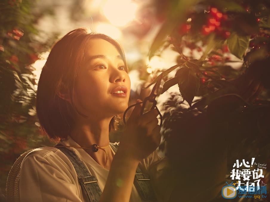 小心！我要放大招了什麼時候播出？小心！我要放大招了播出時間及平台介紹