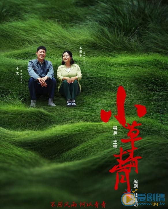 小草青青什麼時間播_小草青青播出時間