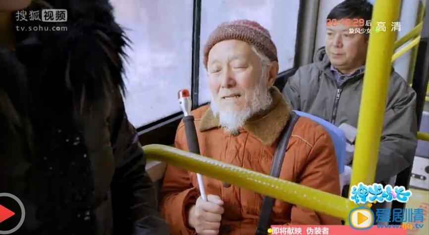 神犬小七指南針是什麼品種的犬？指南針真的死了嗎？