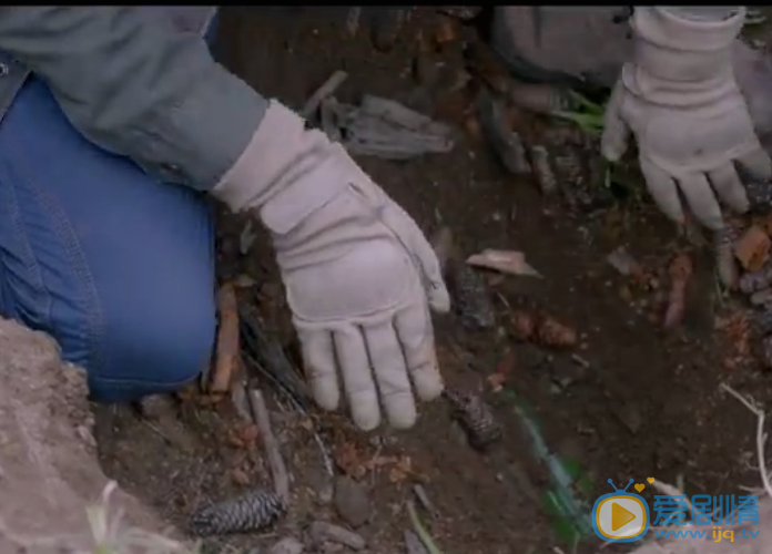  鬼吹燈之精絕古城天寶龍火琉璃頂是什麼東西？有什麼作用？