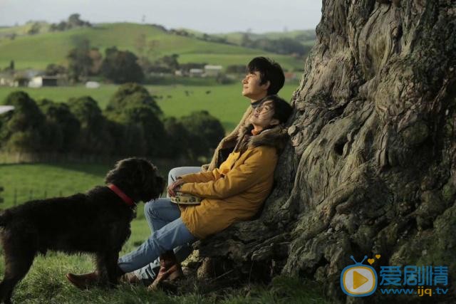 只有芸知道什麼時間播_只有芸知道播出時間