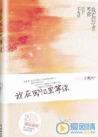 我在回憶里等你劇情介紹