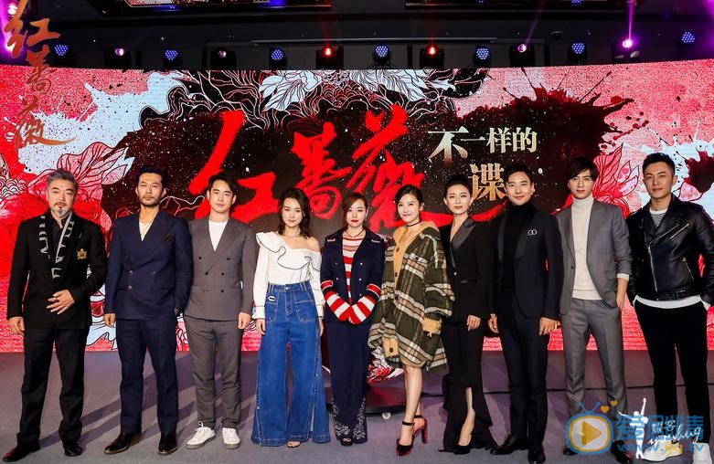 紅薔薇發布會 楊子姍陳曉吻戲默契度爆表