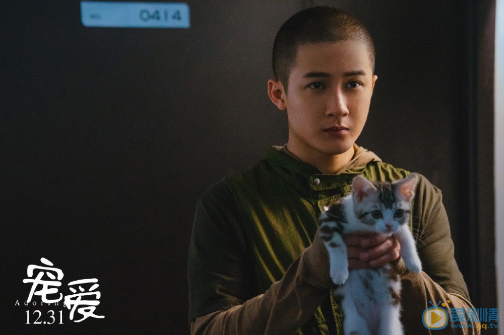 《寵愛》電影劇情介紹