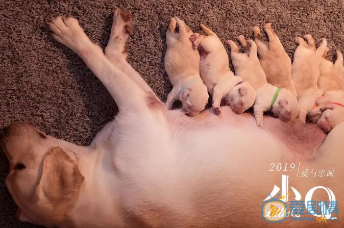 小Q什麼時間播_小Q播出時間