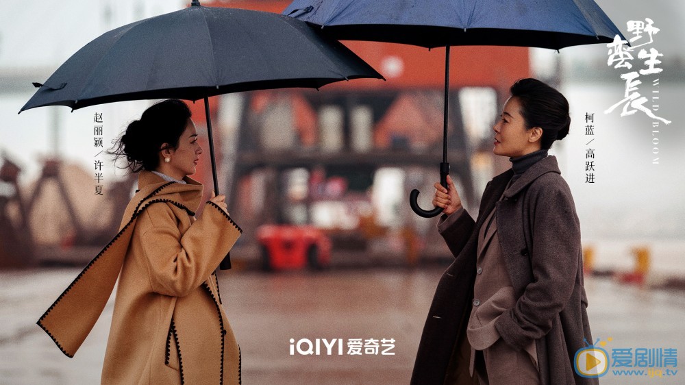 風吹半夏什麼時間播_風吹半夏播出時間