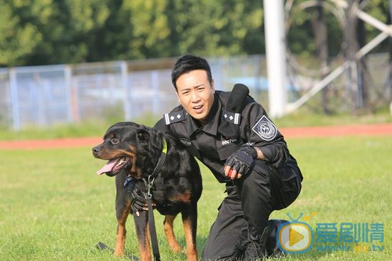 警花與警犬劇照