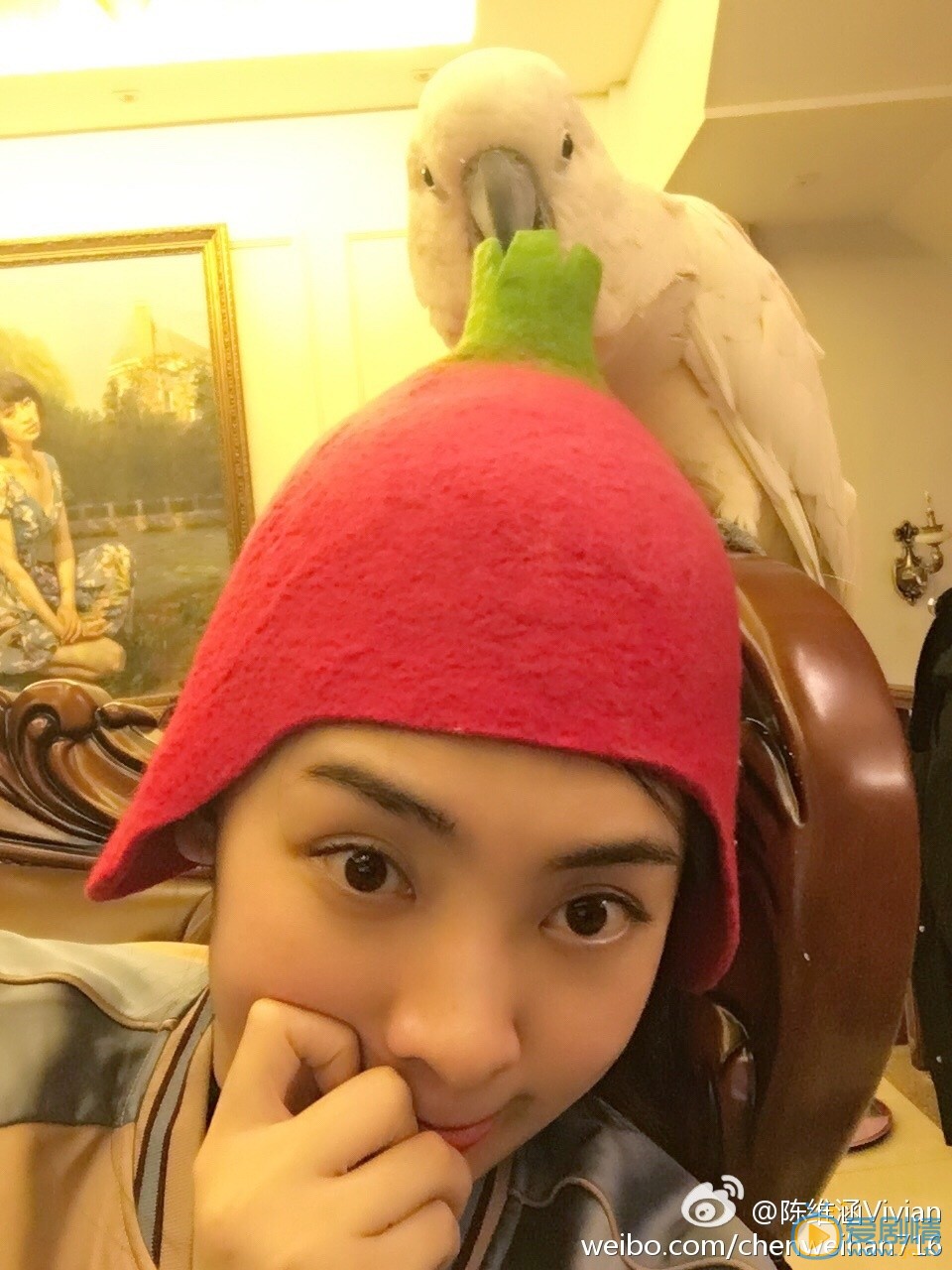 絕密543楊碩扮演者陳維涵圖片