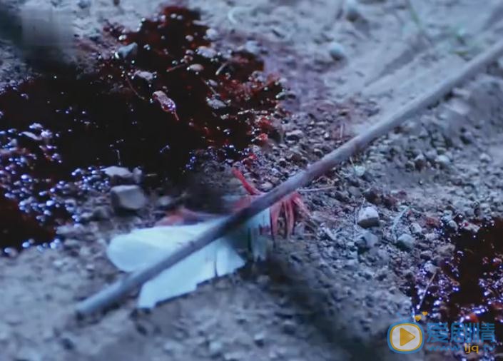 楚喬傳定北侯的結局是什麼？定北侯死了嗎？