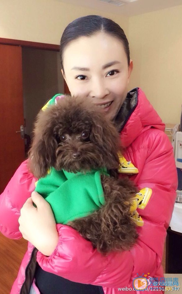 大唐榮耀太子妃扮演者劉威葳個人資料及寫真生活照