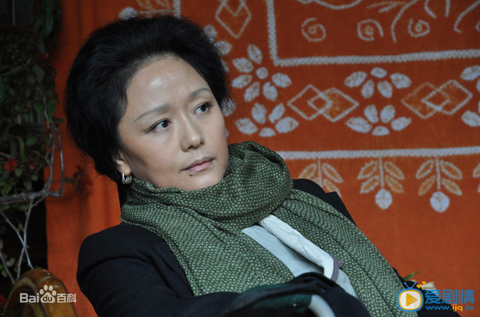 一半花落一把花開劇情介紹